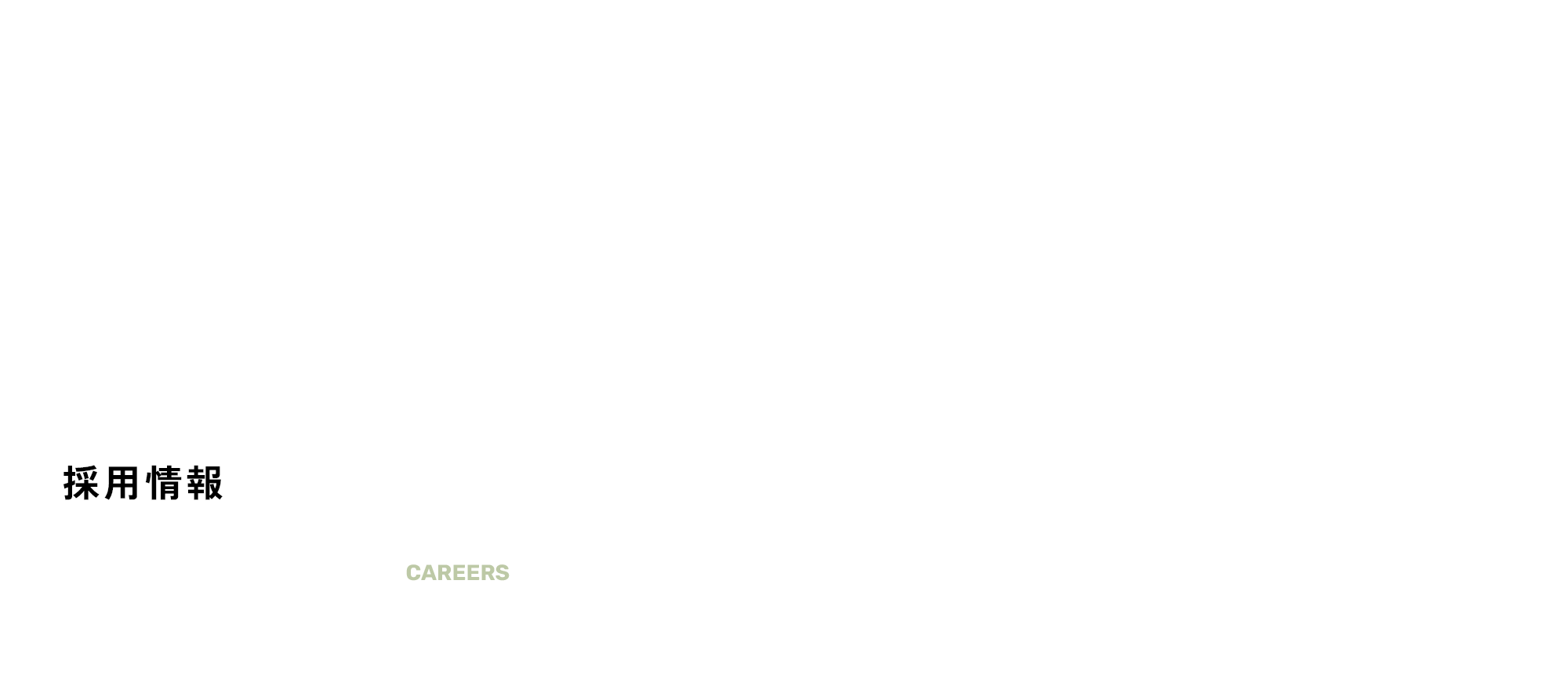 採用情報